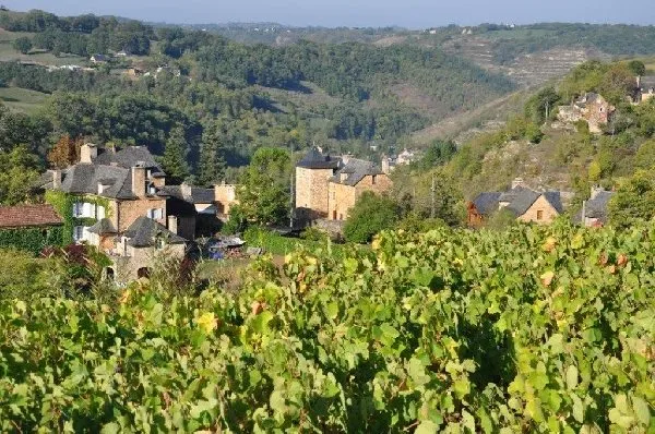 Domaine Durand - Le Monteil