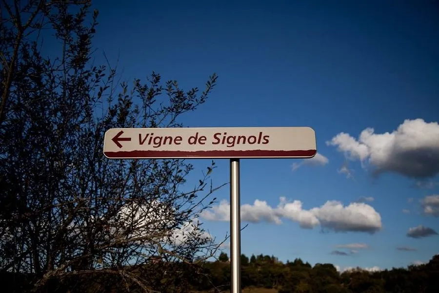 Vignes de Signols - Route des Vins