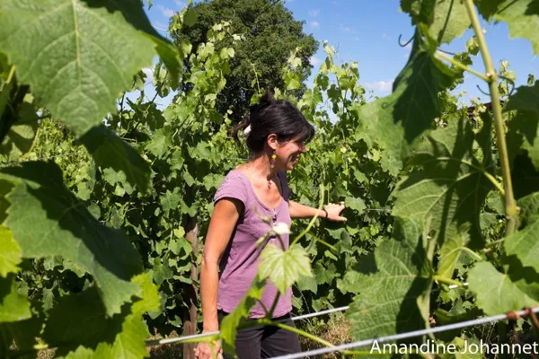 Domaine des Costes Rouges