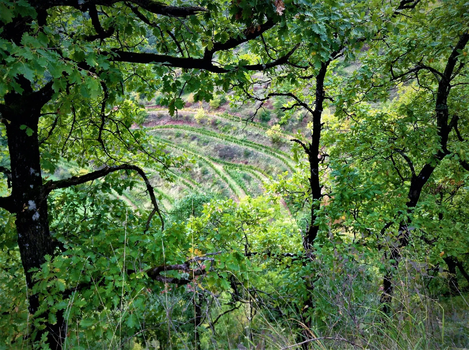 Domaine des Boissières