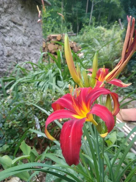 La Roquette Jardin