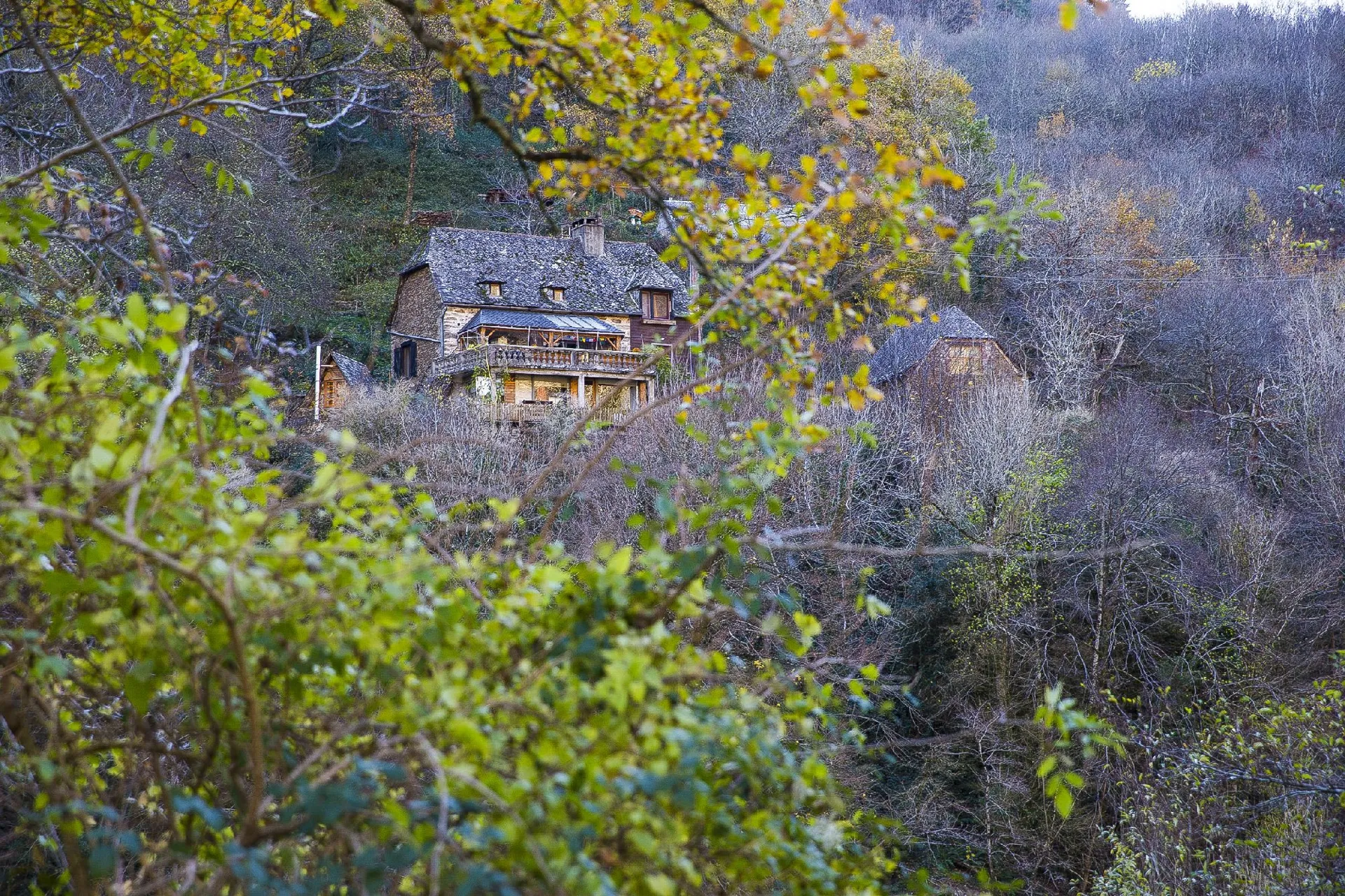 vue d'automne