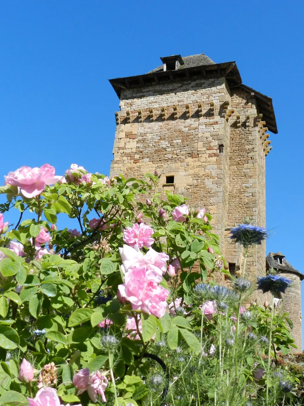 Château du Colombier