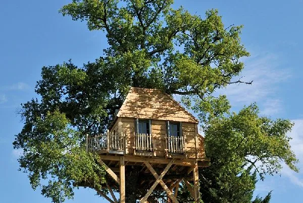 Cabane dans un arbre