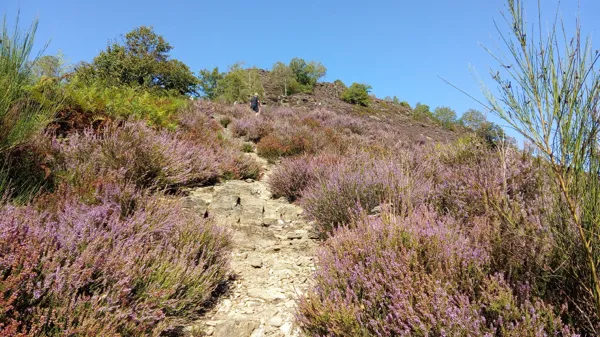 Sentier de randonnée