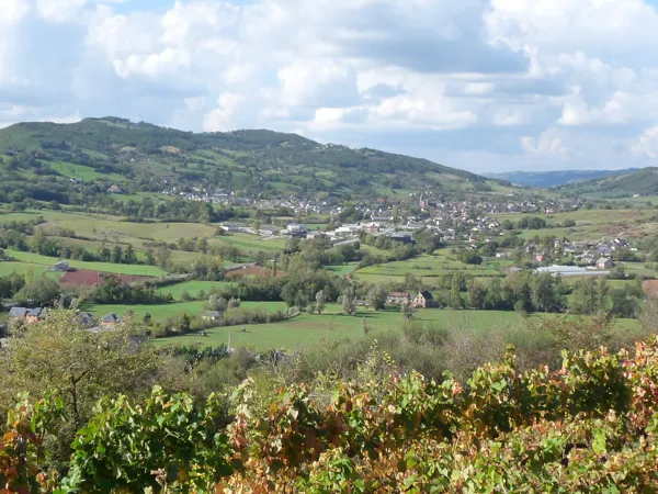 Dans les vignes AOP Marcillac sur le parcours trail de Saint-Christophe