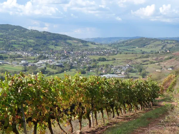 Dans les vignes au dessus de Saint-christophe