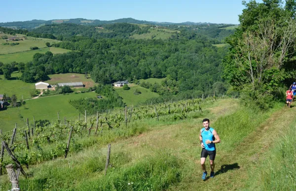 près de Combret dans les vignes de l'AOP Marcillac le parcours trail e Nauviale