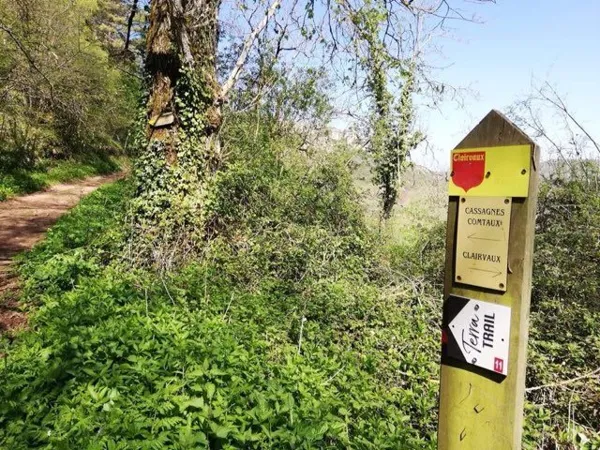 Terra Trail balise sur le circuit de Valady en Aveyron