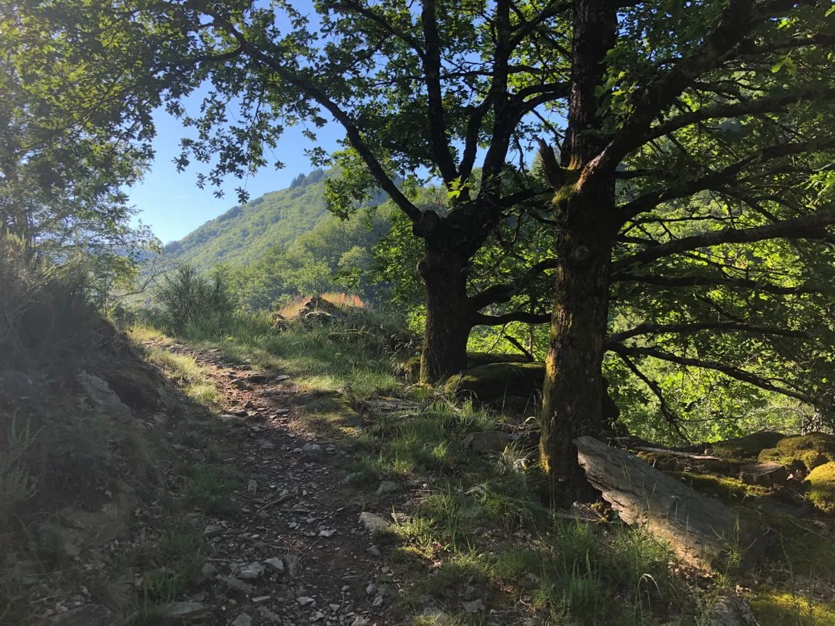 Un point de vue sur le parcours trail de Grand-Vabre