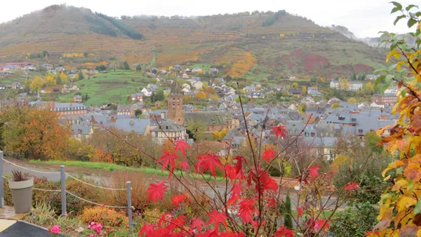 Côté Colline - Vue de la terrasse