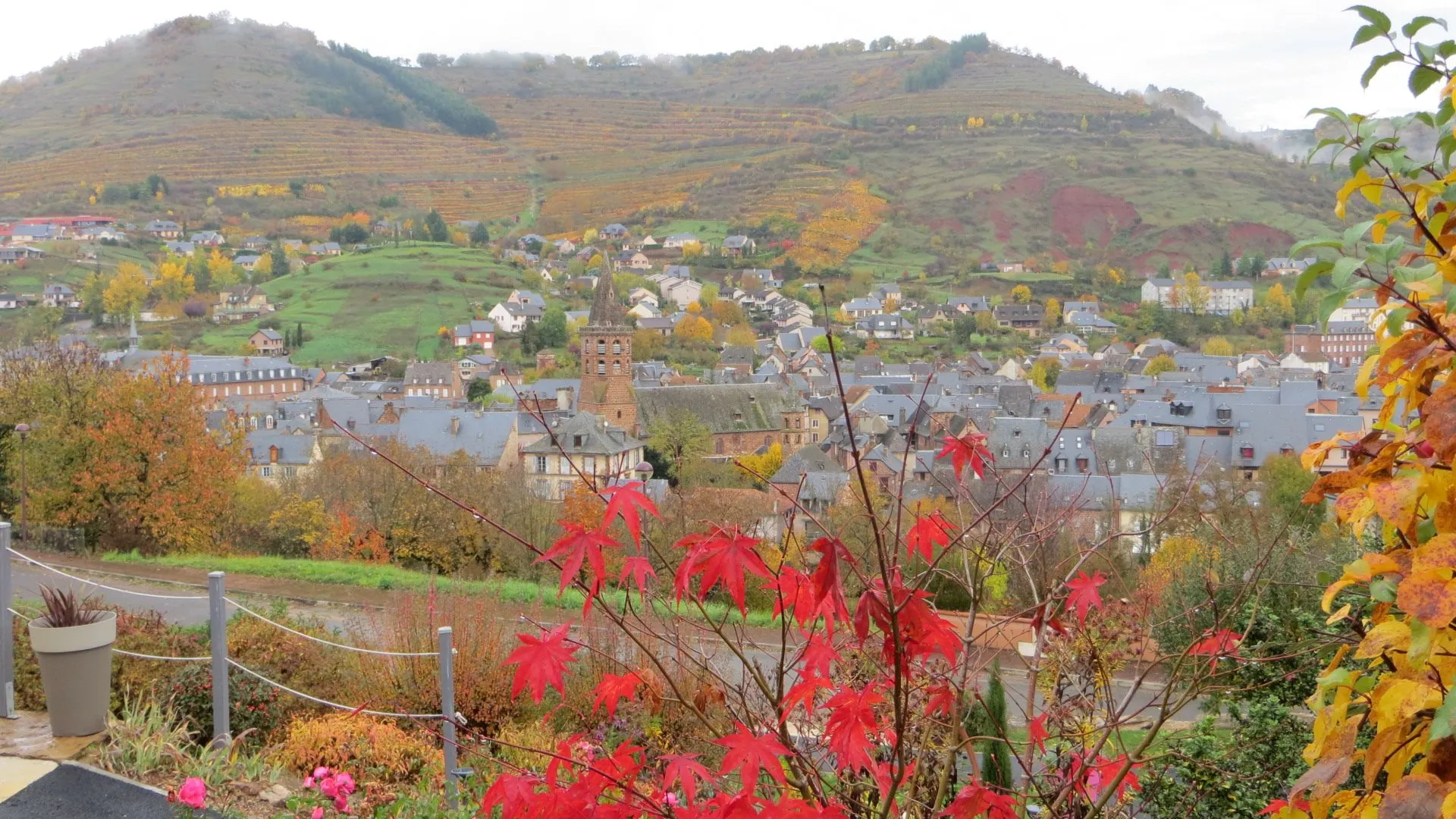 Côté Colline - Vue de la terrasse