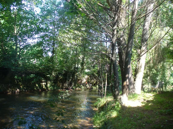 Rvière dans le jardin - Gîte Le tassou du vigneron