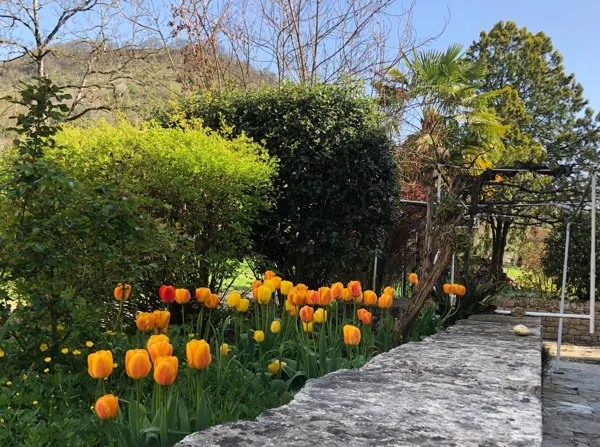 La tonnelle extérieure au printemps