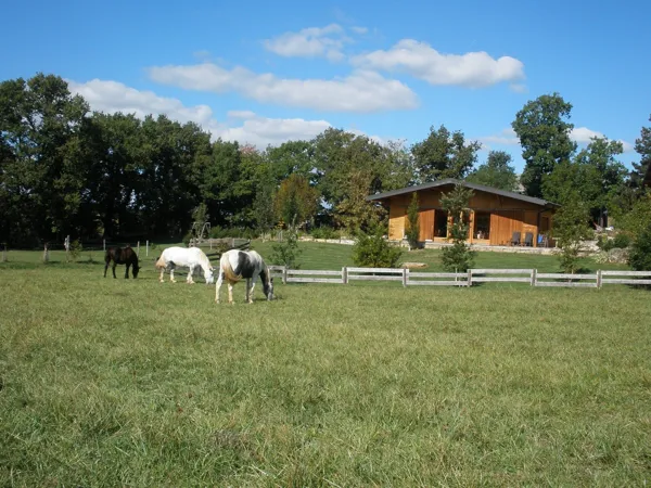 Gîte Les Conquettes - Jardin