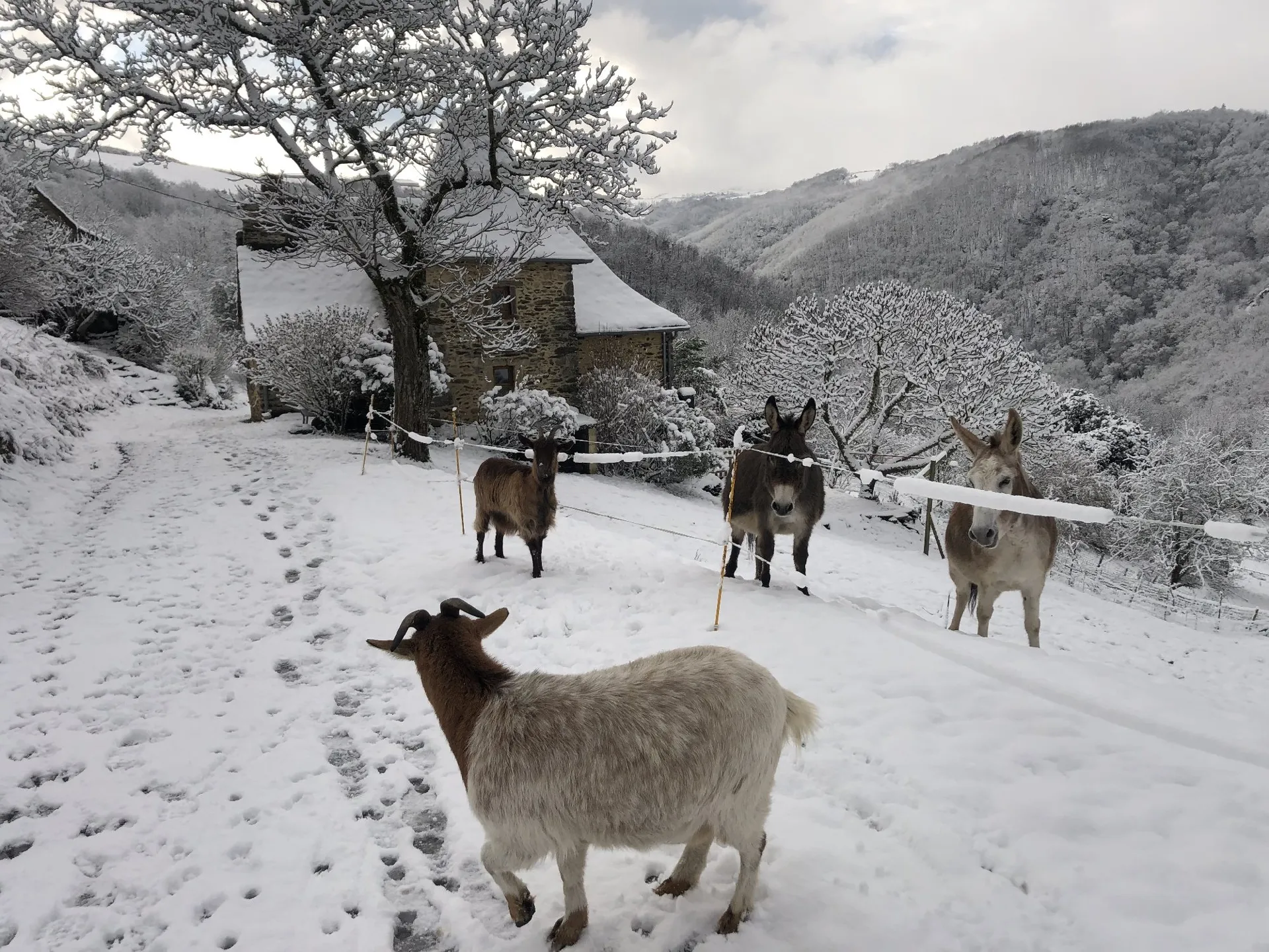 Les Grangettes sous la neige