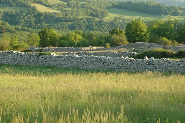 Communaux du Grand Mas sur le chemin da la randonnée