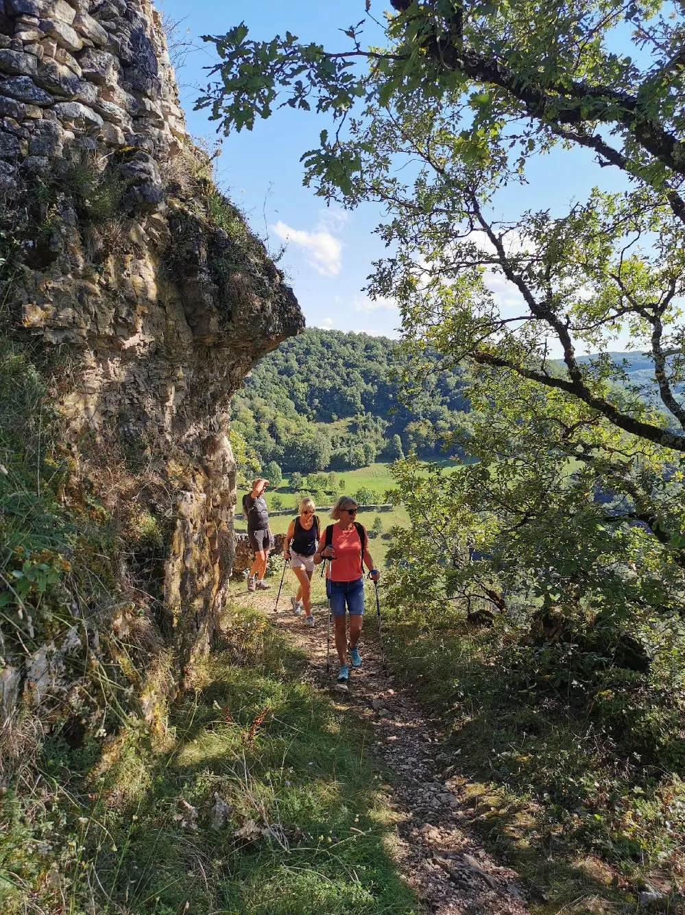 Randonnée Salles-la-Source - Les corniches du Créneau