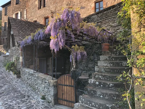 La Terrasse à l'ombre d'une glycine