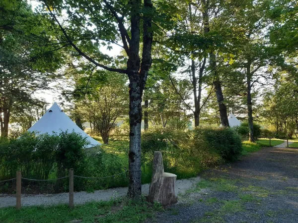 Tentes safari à l'Etang du Camp