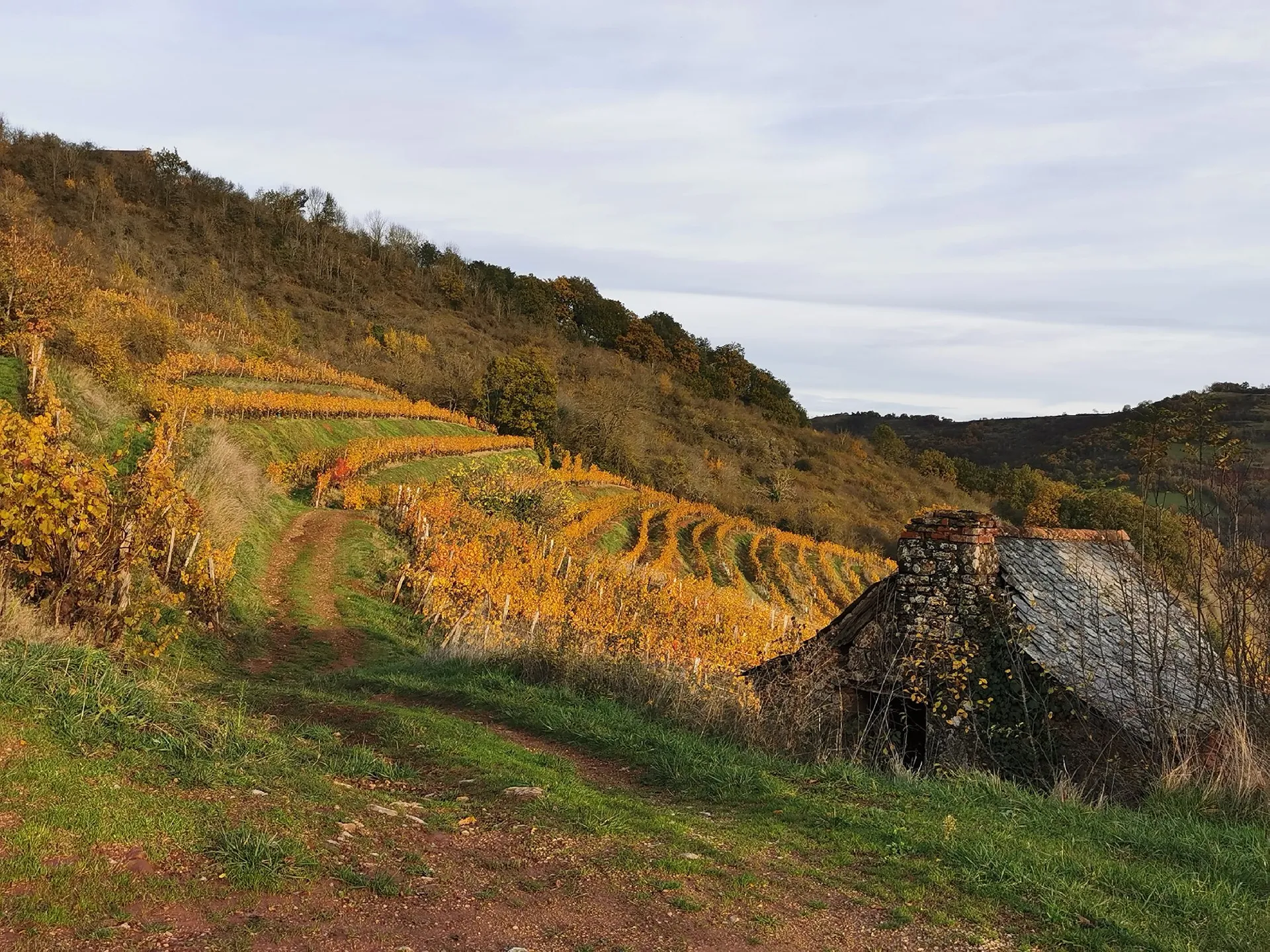 Vignobles et Coteaux du Vallon