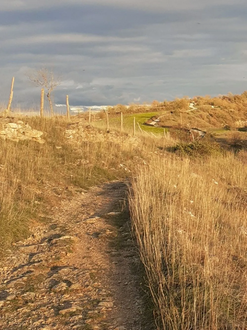 Figuiès, chemin au dessus de la maison, soir d'été.