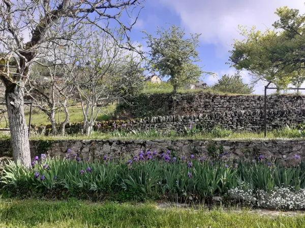 Figuiès, jardin en terrasse