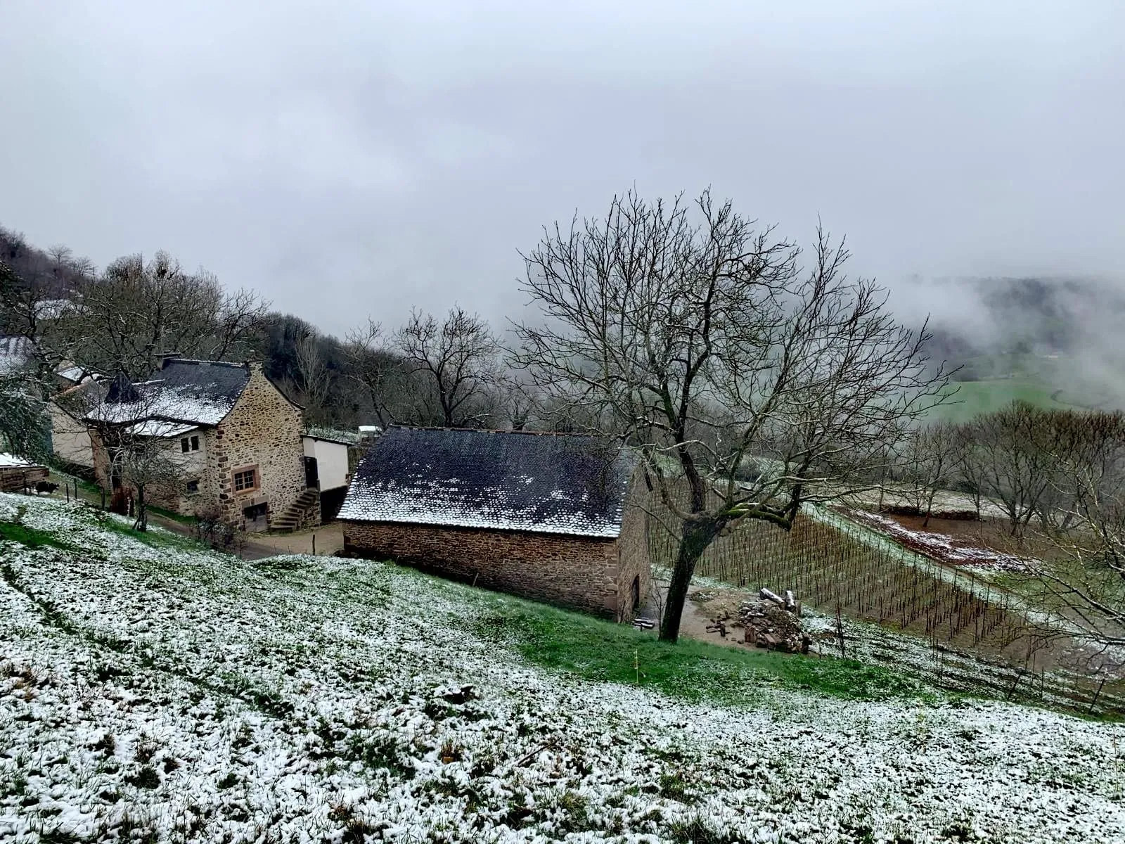 Huilerie de Moncles - Huile de noix