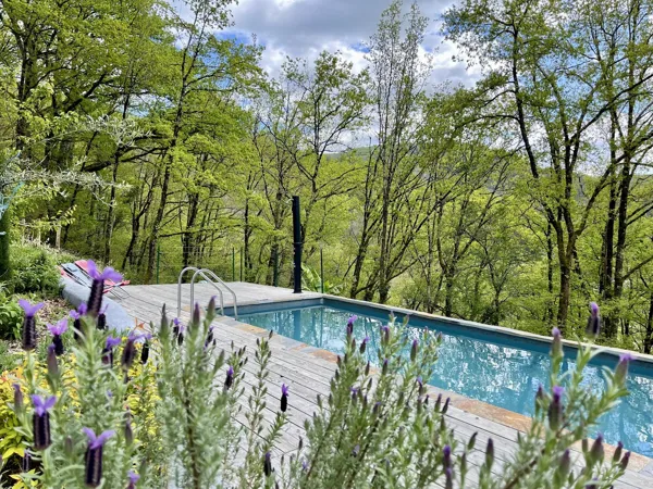 Couloir de nage, piscine et terrasse surplombé par les lavandes papillons