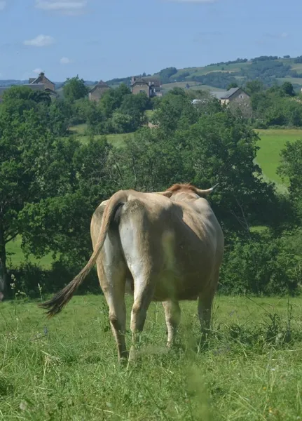 Ferme Moulini