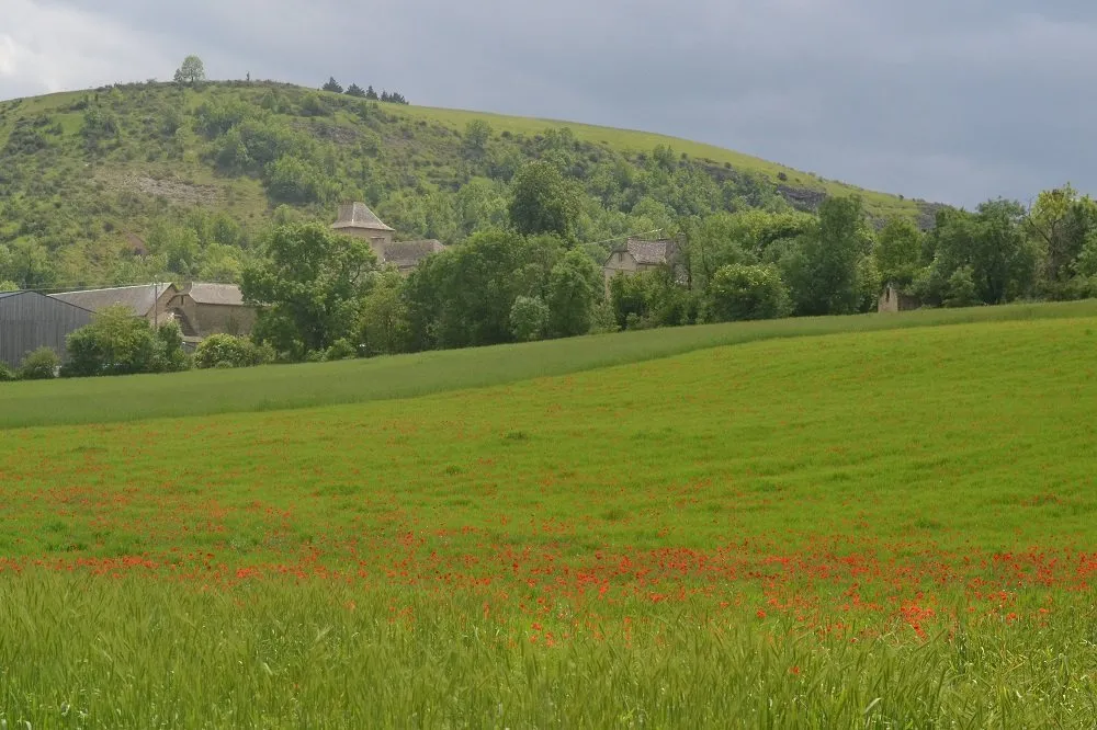 Ferme Moulini