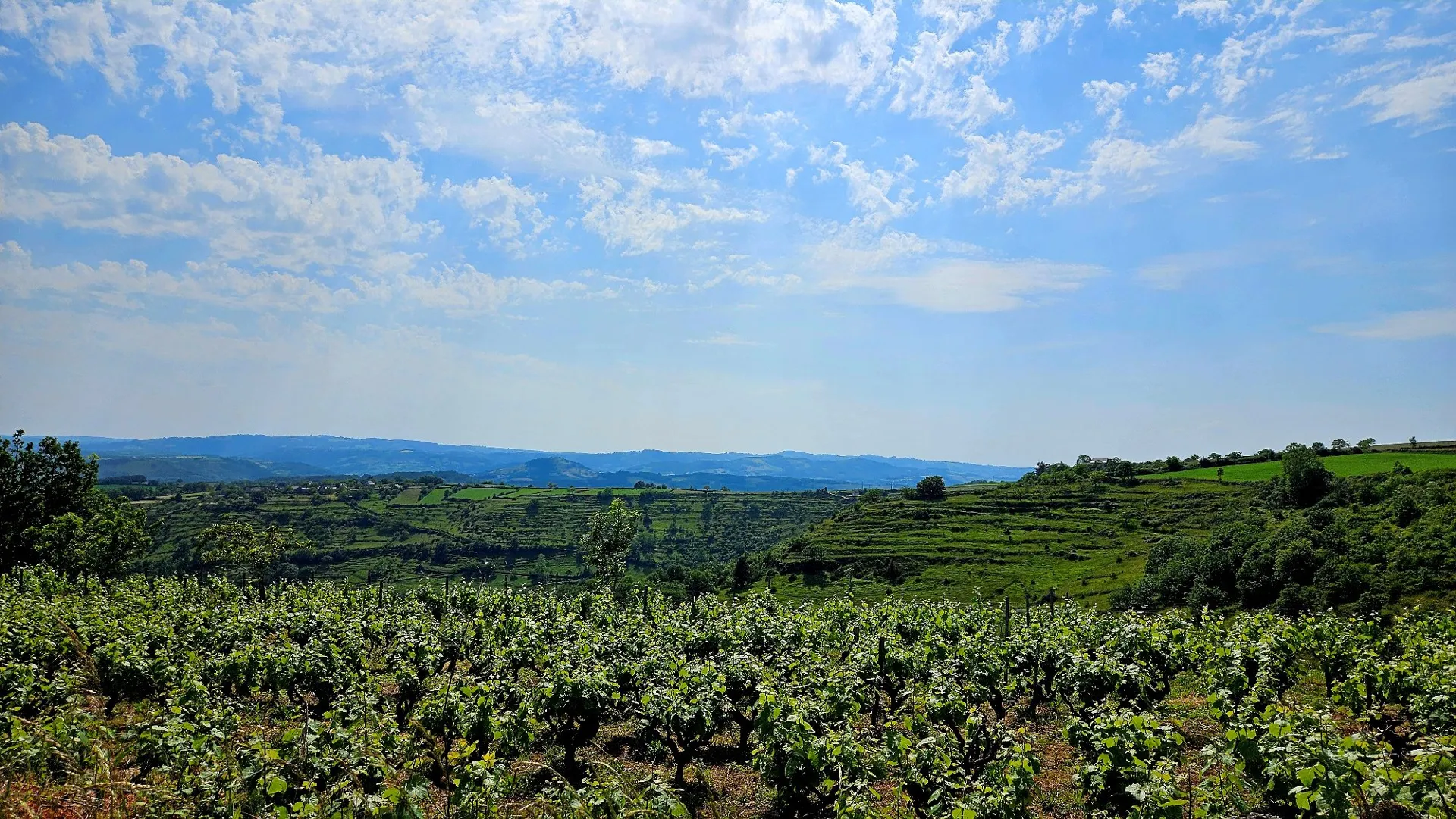 La Petite Maison Bleue