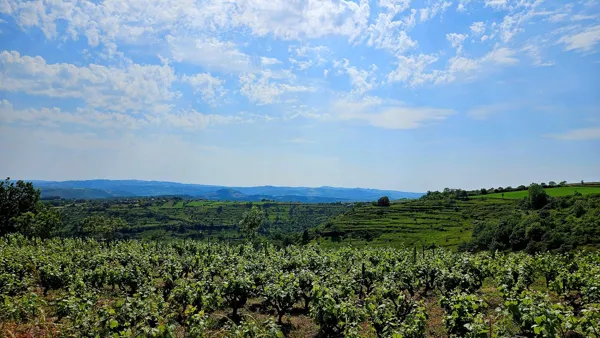 La Petite Maison Bleue