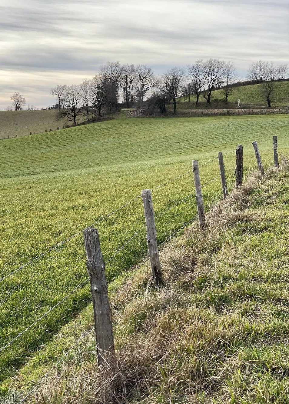 Sur les hauteurs du Grand Vabre