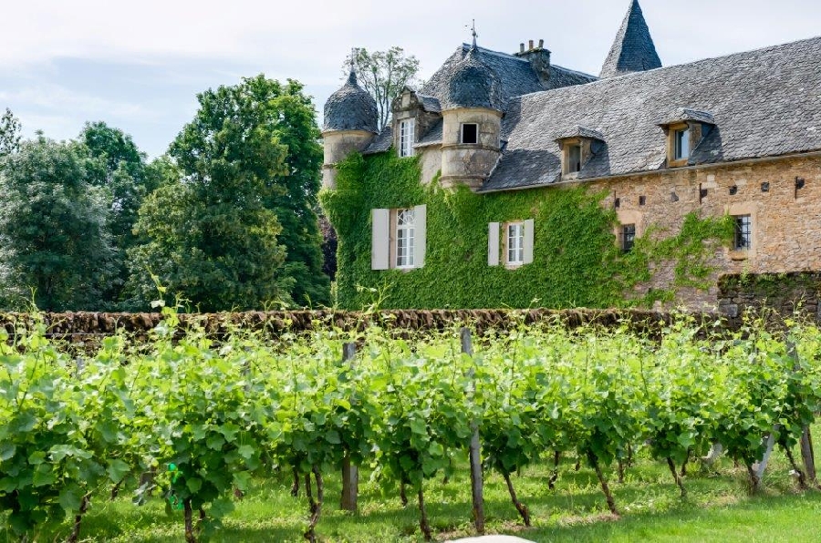 Le Château de Labro et sa Cabane Perchée