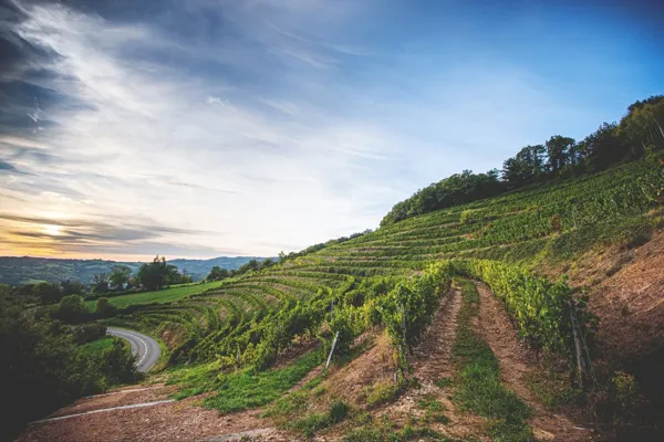 Domaine du Courbiès