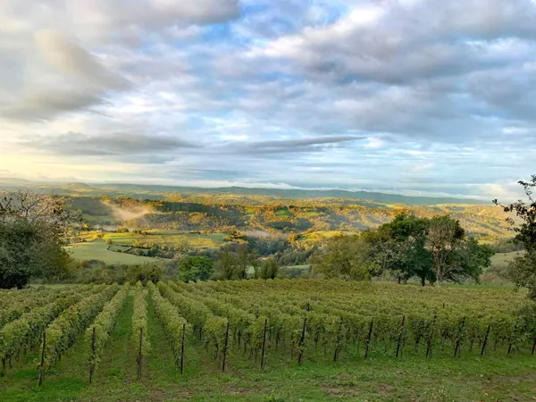 Domaine de Moncles - parcelle l’Enclos de la Grange