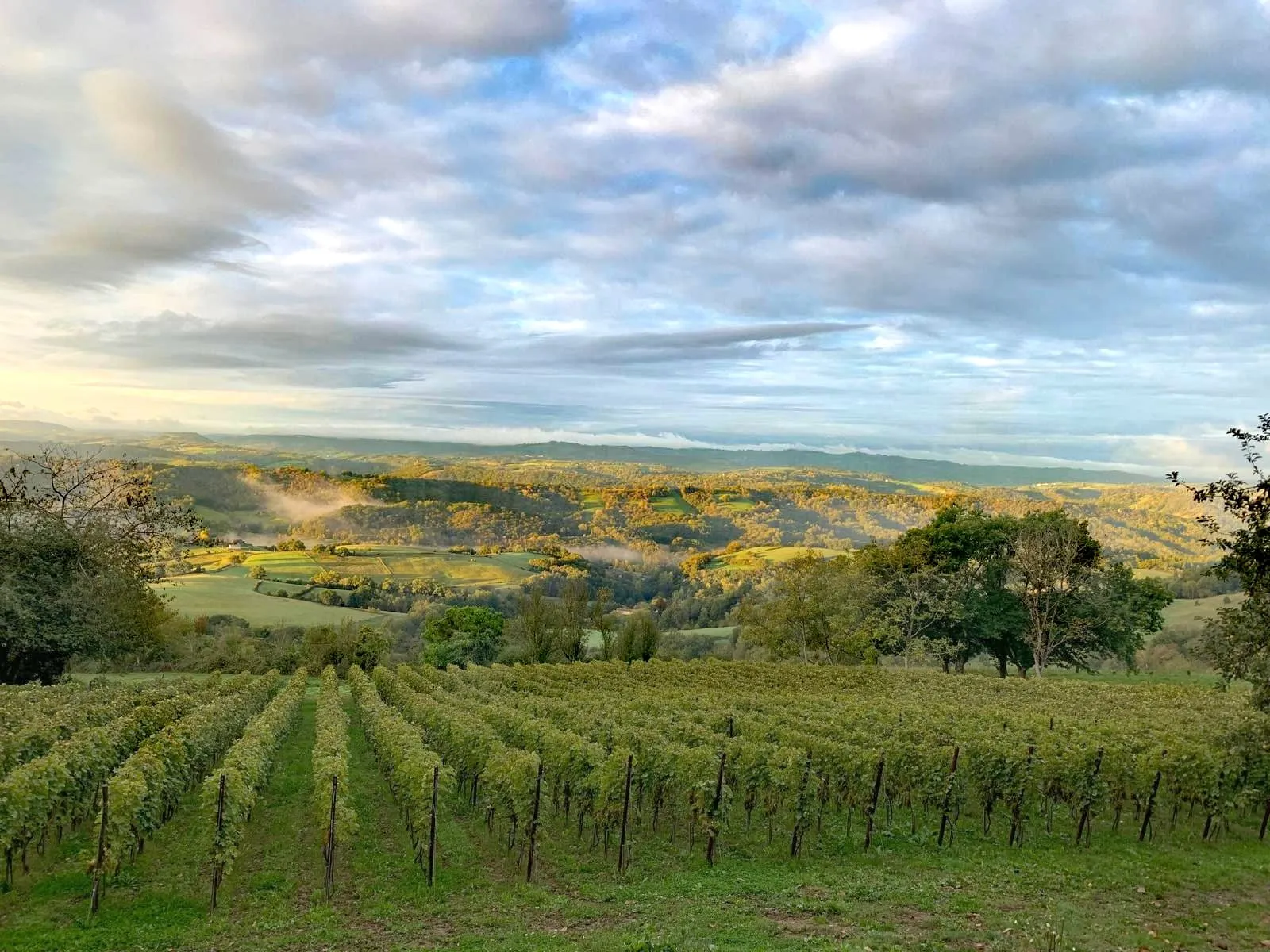 Domaine de Moncles - parcelle l’Enclos de la Grange