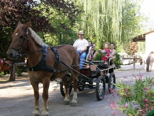 La Frégière Équitation