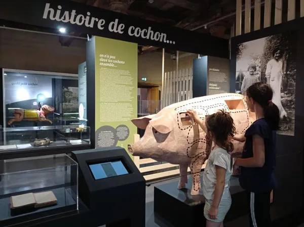 L'expo "Cochons : l'amour vache !" (2021-2024)