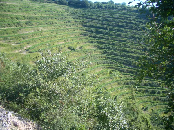 Domaine du Val Enchanté