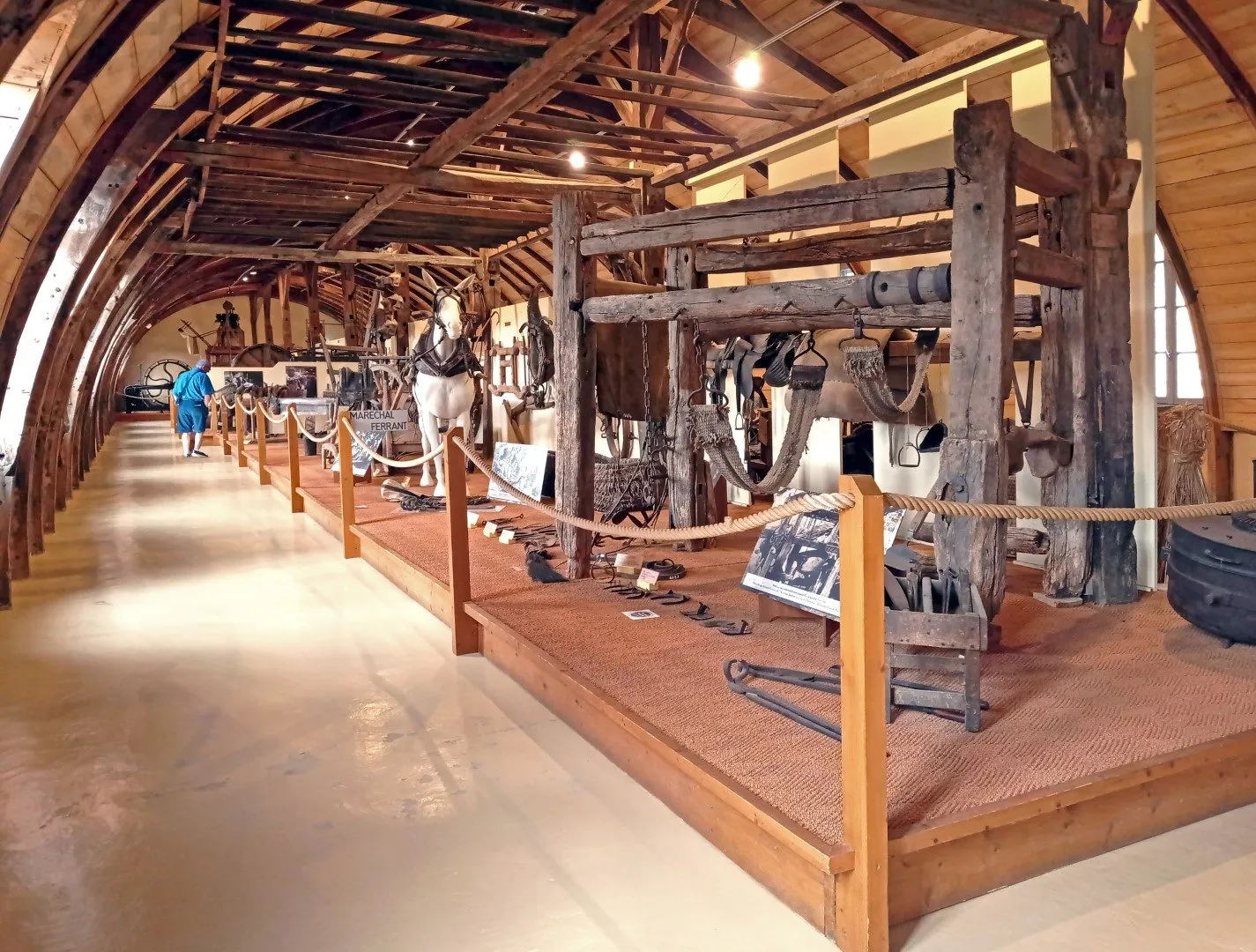 Musée des arts et métiers traditionnels - salle du monde animal