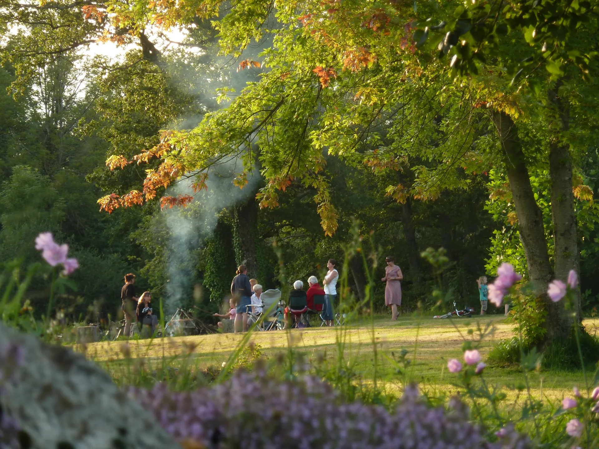 Soirée feu de camp