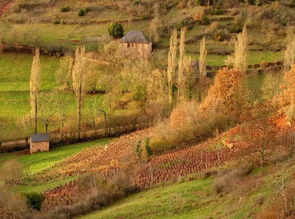 La route des vins de Marcillac